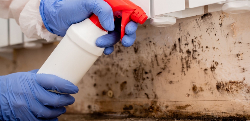 How To Stop Mold Growth After A Flood