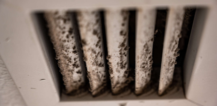 Is it possible that your air conditioner has mold in it?