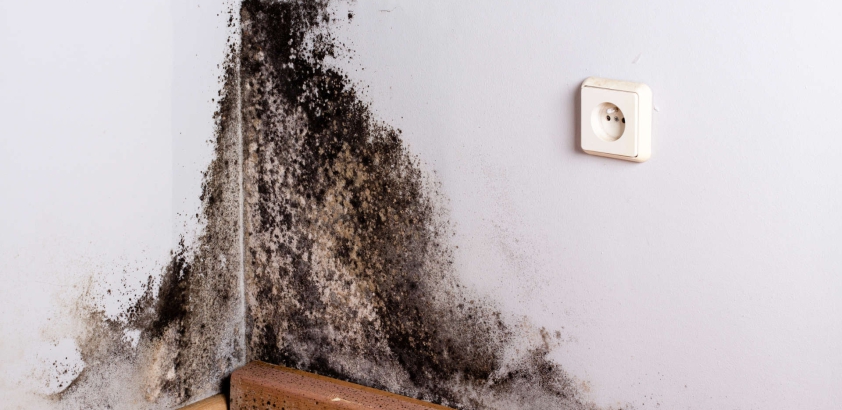 Does water in the wall cause mold?