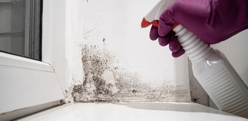 7 Crucial Steps for Mold Prevention